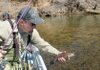 Paul Bobby, a White River trout fishing guide, shows one of the many rainbow trout that bit flies and jigs during high water on the White River below Bull Shoals Dam.