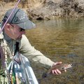 Paul Bobby, a White River trout fishing guide, shows one of the many rainbow trout that bit flies an...