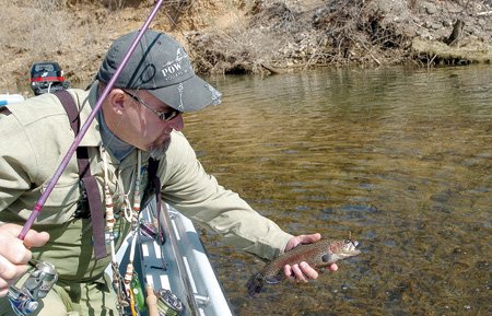 
                               
                                  Photo by Flip Putthoff&mdash;
                               
                           
                           Paul Bobby, a White River trout fishing guide, shows one of the many rainbow trout that bit flies and jigs during high water on the White River below Bull Shoals Dam.