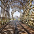 Shayden Flanagan, 18 months, walks through a tunnel Wednesday at Botanical Garden of the Ozarks in F...