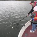 Jason Piper and his daughter, Katelyn, catch crappie at Beaver Lake last October.