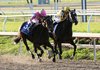 In this photo released by Fair Grounds Race Course, Zardana, left, with David Flores aboard, races down the stretch against Rachel Alexandra and jockey Calvin Borel during the New Orleans Ladies horse race on Satruday at Fair Grounds Race Course in New Orleans. Zardana won the race.
