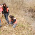 Volunteers Tess Spencer 11, from left, Katie Barger, 12, and Alexandra Lopez, 11, plant a green ash ...