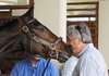 Trainer Steve Asmussen (right) and owner Jess Jackson (not pictured) made the decision to not race 2009 Horse of the Year Rachel Alexandra (left) in the Apple Blossom at Oaklawn Park after her second-place finish at the New Orleans Ladies Stakes.
