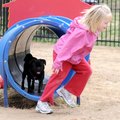 Aubryn Redmond, 4, plays a give-and-take game of chase and fetch Tuesday with her pug, Olive, at Bar...