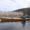 Warren Cunningham of Springdale paddles his kayak near a stand of cattails on the upper end of Lake ...