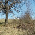  An amphibian aircraft crashed near the Huntsville airport at 1:00p.m. Thursday. 