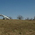 An amphibian aircraft crashed near the Huntsville airport at 1:00p.m. Thursday.