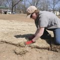GRASS ROOTS - Meagan Lipscomb, a horticulturist with the Bentonville Parks and Recreation Department...