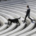 Ashley Roberts, a University of Arkansas student, walks with her dog, Porter, on Thursday at the Chi...