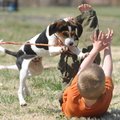 PUPPY POWER - Wyatt Waggoner, 4, of Elkins plays Friday with his puppy, Charlie, in Bunch Park in El...