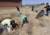 Greenland High School students from left, Bret Arnold, Dustin Oakes, Evan Johnson, Ryan DuChanois and Dustin Barton work Thursday in one of two rain gardens at the school. The students are in the Environmental and Spatial Technology program and have built two rain gardens and a butterfly garden behind the school.