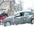 Rose Millwee of Fayetteville sits with her dog, Maximus, as she attempts to return her car to her pa...