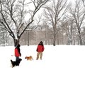 Mick Frus, left, and friend Brian Larsen visit while playing with their dogs Sunday in deep snow on ...