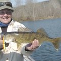 Lisa Mullins, a White River fishing guide, shows a 19-inch walleye that bit a jointed lure trolled b...