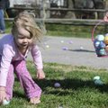  Moriah Trollinger, 2, 
of Centerton picks up eggs Saturday during the city’s 4H Egg Hunt at Center...