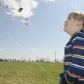  'Dylan Cornelius, 4, of Fayetteville, flies a kite during the festival.