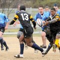 Benton County Blues player Andrew Hobelman is brought down by Little Rock Central players at Veteran...