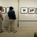 Marcia McDaniel (left) of Bella Vista and Mary Lynn Gollier of Ottawa, Kan., view the "Looking at Ou...