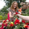 Kathy Jonson picks out a rose to buy from Deana Dickey’s stand at the Fayetteville Farmers’ Market o...