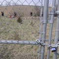 The R&P Electroplating building stands behind a chained gate Thursday at 2000 Pump Station Road in F...