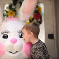 PHOTO HOP - Gavin Adams, 3, of Rogers checks out the Easter Bunny on Thursday after having his photo...