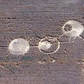 At 7:40 a.m. on July 4, 2003, eyewitness Art Rantalla watched as this 150-foot-long geometric crop c...