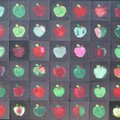 APPLE A DAY - Artwork by Butterfield Trail Elementary School students will be on display and for sal...