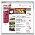 Old site