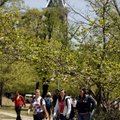  
University of Arkansas students walk across the Fayetteville campus to class Monday.