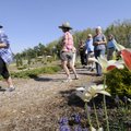 Susan Regan, left, leads a tour Tuesday of the Botanical Garden of the Ozarks’ thousands of spring b...