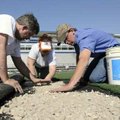 Bruce Wylie, left, and Jennifer Wylie, center, both with Smith Tile, and Matt Reichenbach with the ...