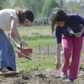 Hope Bumstead, 9, right, and Andrea Barlow, 10, plant vegetable seeds April 9 at the Gravette Garden...