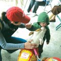 Connor Fysh, 15 months, of Rogers, visits Saturday with Pixie, one of the adoptable dogs at the Bell...