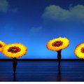 A scene from Momix’s Botanica