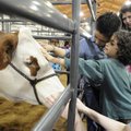 FARM FRIENDS - Anibal Umand, left, and Sequoyah Chowdhury, both with Leverett Elementary School in F...