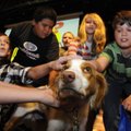 Sixth-graders Taylor Stephens, 12, from left, Cedric Beard, 12, Mykell Evans, 12, and David Dawkins,...
