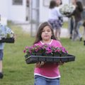 PLANT PREP - Adamaris Mendoza, 7, a second-grader at Eastside Elementary School in Rogers, carries p...