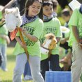 RIDE ’EM, COWGIRL - Audrianna Hale rides a stick horse Thursday around a course at Parsons Stadium i...