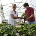 Christine Loyd picks out geraniums Wednesday with the help of Bentonville High School junior Seth Jo...