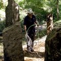 Boulder Construction employee Salvador Garcia of Bella Vista waters the area around the sculpture A ...
