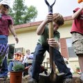 DIGGING IN THE DIRT - Baker Elementary School third-grade teacher Sharon Holladay, left, oversees st...