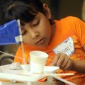 Diana Campos, a Bayyari Elementary School gifted and talented third-grader, works Friday on her grou...