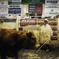  Ty Thompson, left, livestock auctioneer, recently takes bids at the Farmers Livestock Auction in Sp...