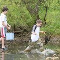 Billy Horton, 12, from left, Dusty Newell, 11, and Evan Volstad, 11, ford a muddy pond Sunday in sea...