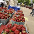 Brianna Cremer of Fayetteville prepares Tuesday to purchase some strawberries from Phillip Miner of ...