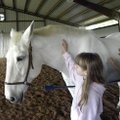  Devlon, an Irish Warmblood owned by Krissi Washburn, stands patiently as fourth-grader Isabel Shipm...