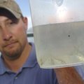 Joe Adams with the Arkansas Game & Fish Commission shows a sample of the 100,000 fingerling walleye ...