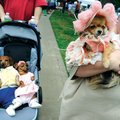 PRIMPED POOCH = Tiffany Farris, right, carries Kelsi, a 4-year-old longhaired Chihuahua, after arriv...