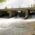 Cecilia and Steve Burrell stop during their daily walk Tuesday to look at carp swimming in the eddie...